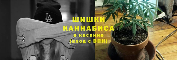 шишки Нязепетровск