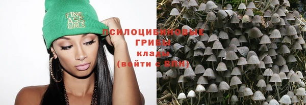 ПСИЛОЦИБИНОВЫЕ ГРИБЫ Нягань